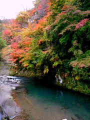 1-DSCN1188