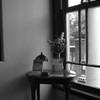 MONO7