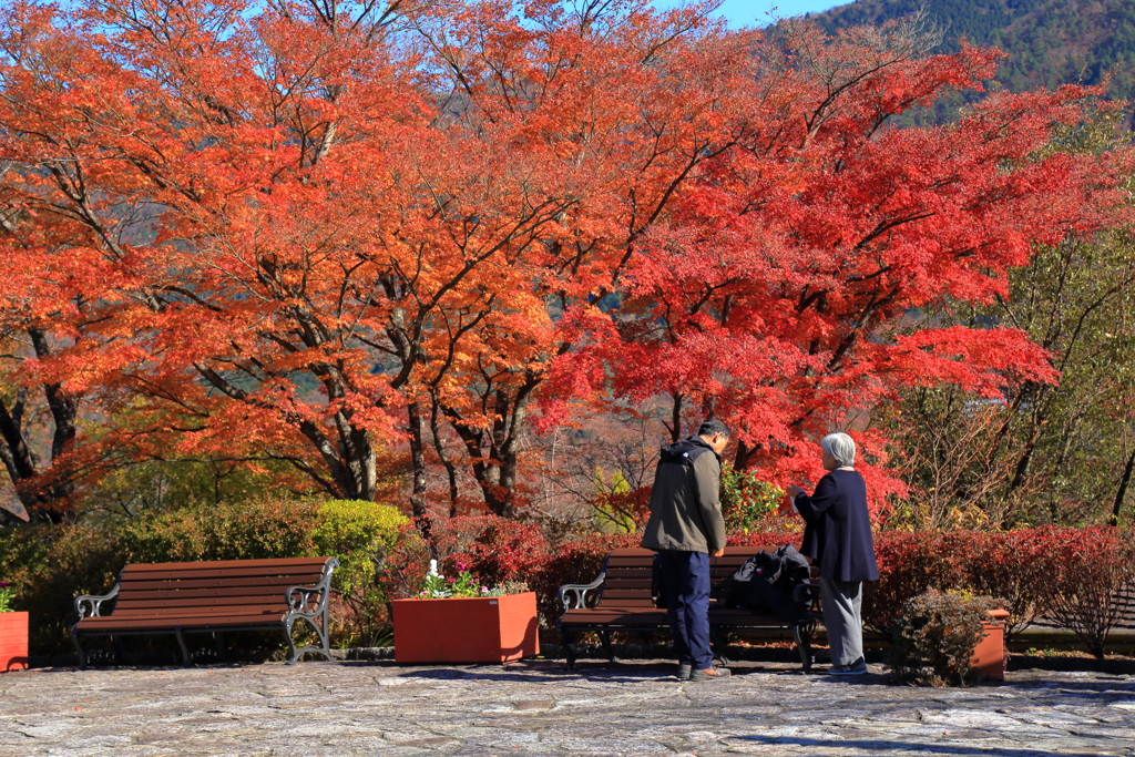 2025_強羅_箱根美術館３