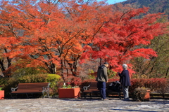 2025_強羅_箱根美術館３