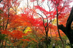 松永記念館