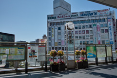 初代DP1の虫干し2