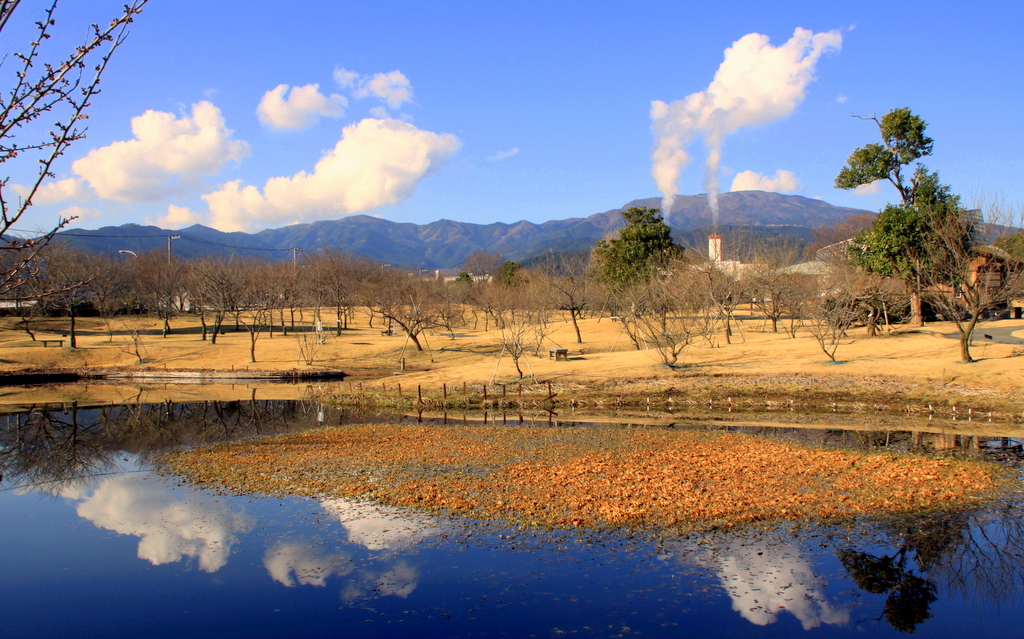 The test photography for EOS50D_2