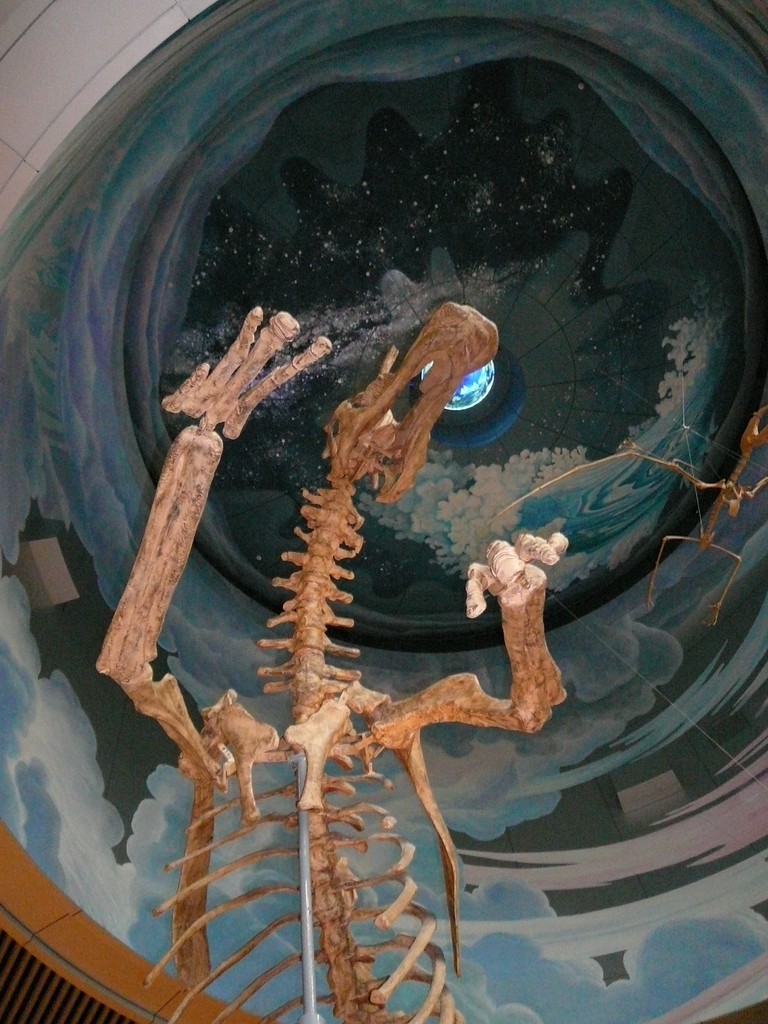 でかいねコイツ！