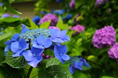 TEST_EF24mm-105  4L_8