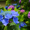 TEST_EF24mm-105  4L_8