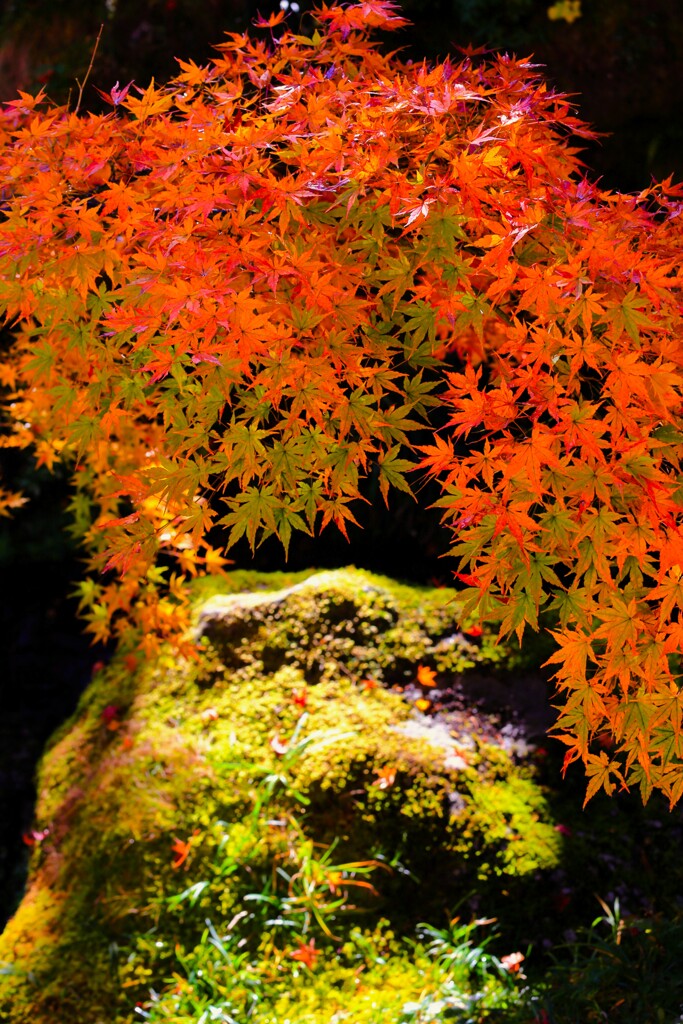 2025_箱根美術館7