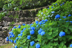雨の合間の＿２
