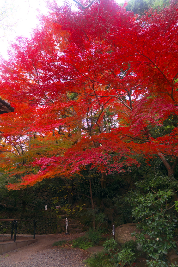 松永記念館