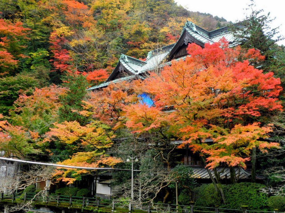 錦秋の箱根湯本