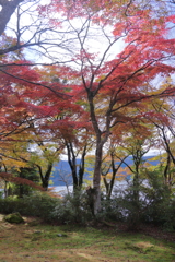 2024HAKONE_Reconstruction_3
