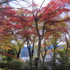 2024HAKONE_Reconstruction_3