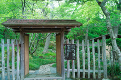 強羅公園_白雲洞