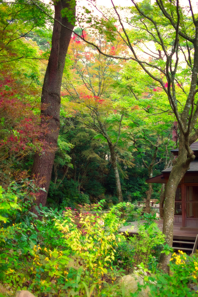 箱根_岡田美術館_開化亭