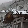 SNOW in HAKONE