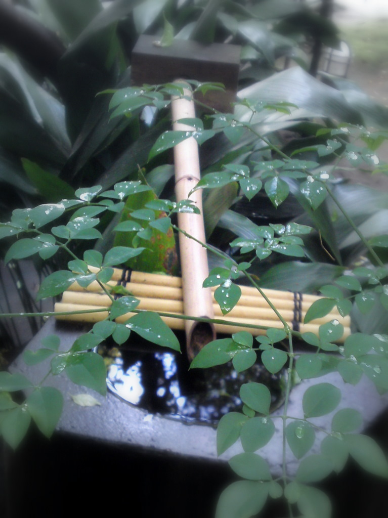 雨上りの静寂