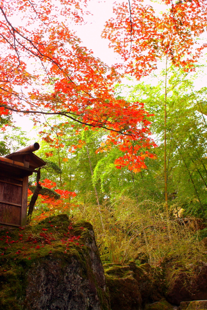 箱根強羅美術館20111109_1
