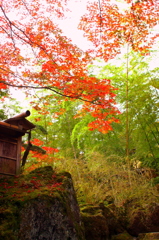 箱根強羅美術館20111109_1