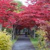 平岡樹芸センター