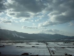 富良野盆地