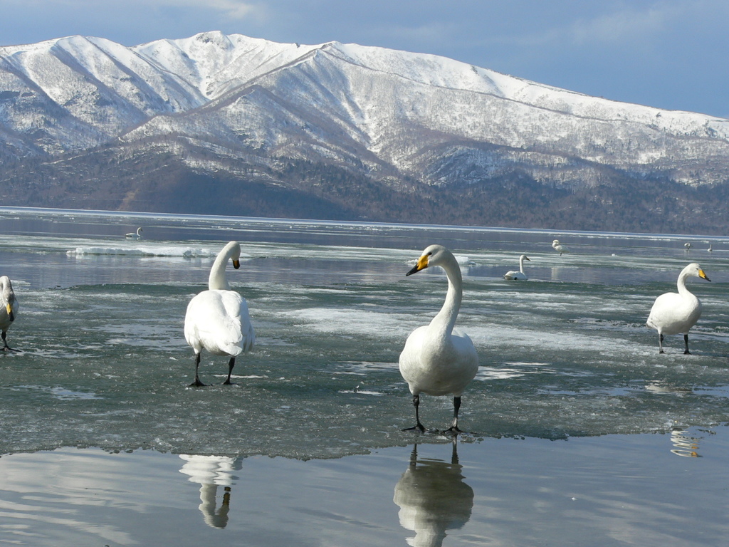 屈斜路湖