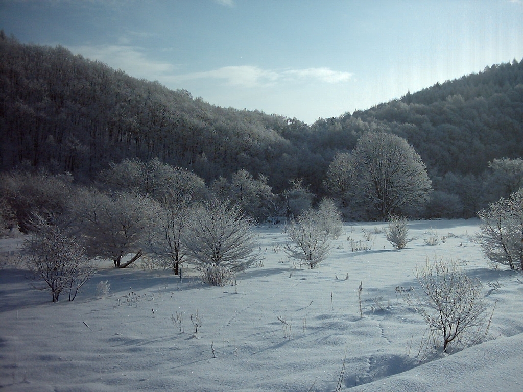 美瑛の雪景色