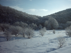 美瑛の雪景色