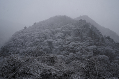 雪山