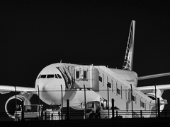 monochrome