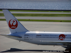 JAL TAIL