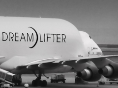 Dream Lifer