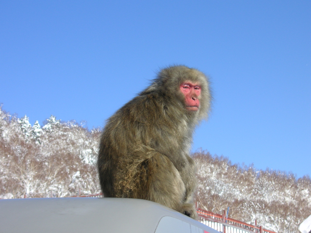 なに撮ってんだよ！