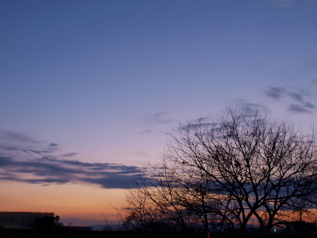 夕焼け空