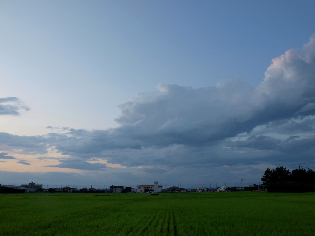 雲描く夕暮れの田園