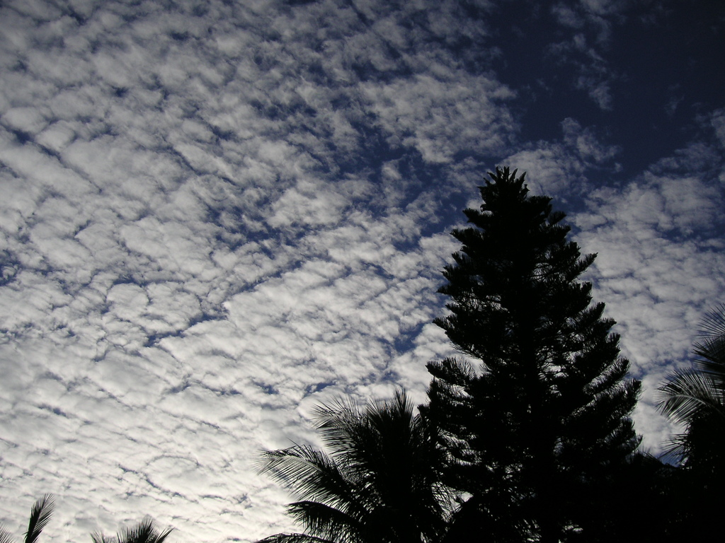 冬の雲IN豪州