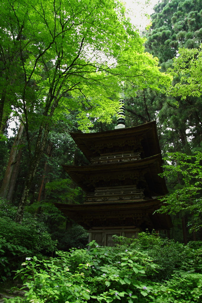 光前寺2