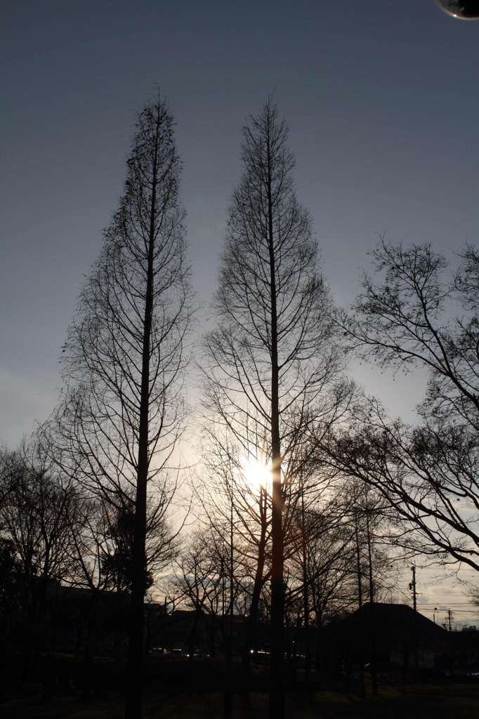 冬の夕暮れ