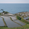 千枚田