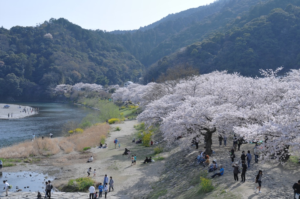 錦川流域