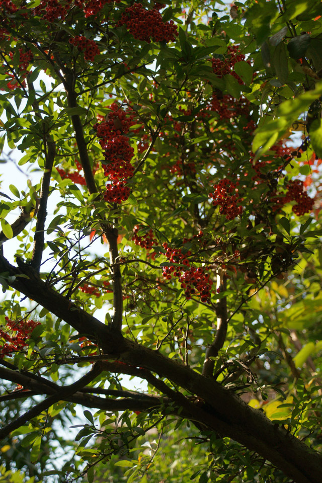 DSC00505