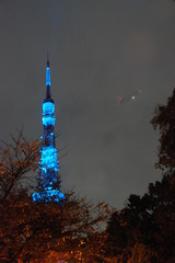 青タワー