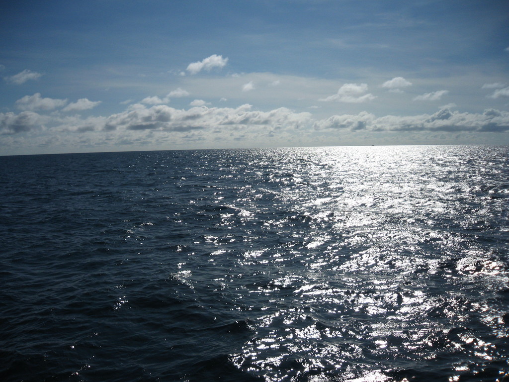 Beautiful sea