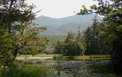 緑に包まれた湖