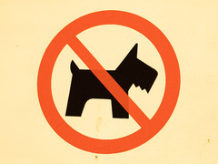 DOGS  NO  ENTRY