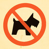 DOGS  NO  ENTRY