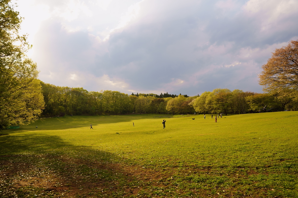 公園もソーシャルdistance