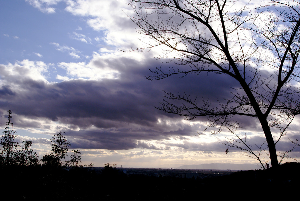 冬空