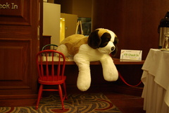 Very Important Kid Check-in