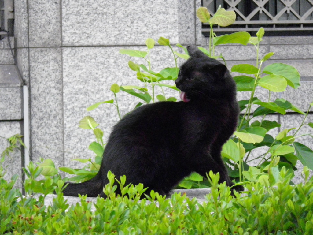 IMGP0040