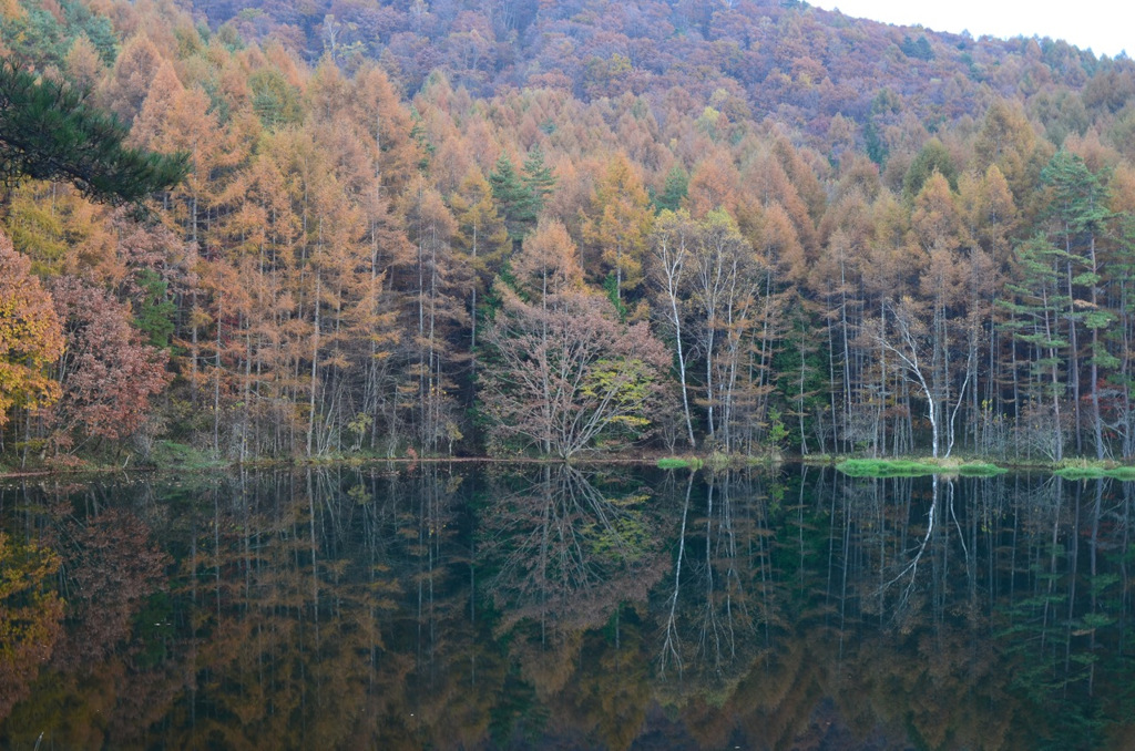 秋光の見せる真実と虚構4